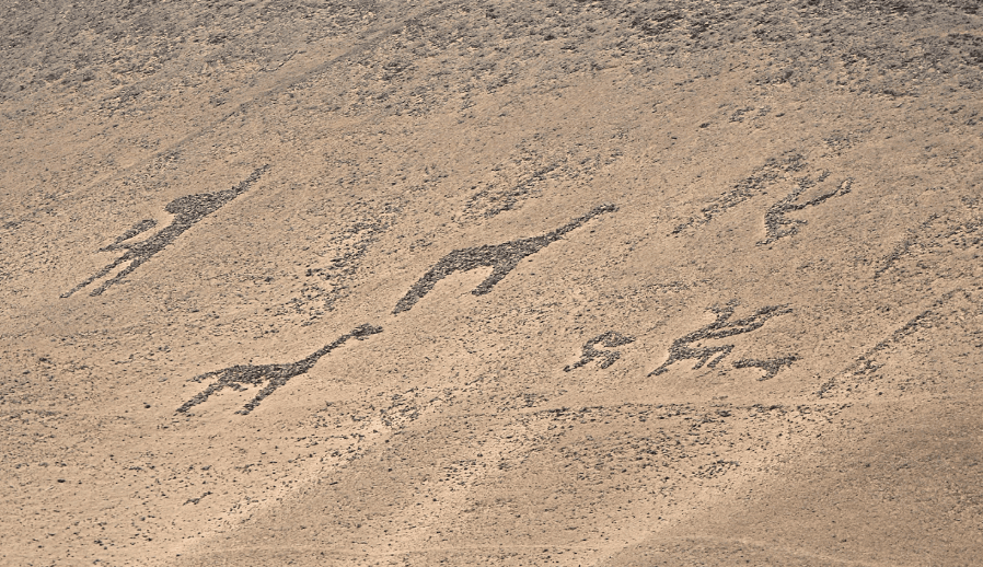 Visitar geoglifos en Arica y Parinacota: guía completa para descubrir el arte del desierto