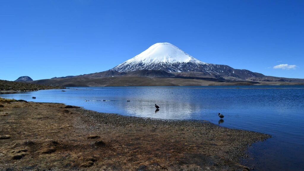 Sendero Chungará: Naturaleza altiplánica junto a una joya andina